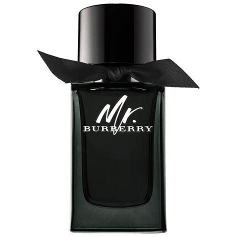 mr burberry edt 100 ml spray|mr burberry sephora.